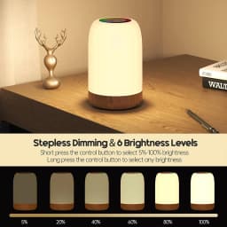 LED Touch Lamp with Dimmable RGB Colour,Wood Grain Table Lamp Timing Function,USB Rechargeable Night Light,for Bedroom Kids Deco