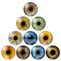 glass eyes cabochons Round 8MM-30MM Round Dome Dragon Eye Dragon Cat Eye Toys DIY Jewelry Accessory MIX Pupil Eye Cameo