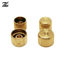 10pcs Car Air Conditioner Refrigerant Dust Cover Valve Core Caps High Low Side Port Cap Auto High Low Pressure Caps Accessories