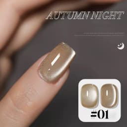 10ML 1-10PCS Winter New Style Hot Selling Black Nails Brown Nails Glass Bead Magnet Cat Eye Nail Polish Nail Set Nail Supplies