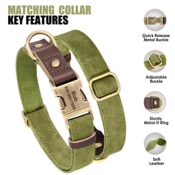 Personalized Dog Collar Leash PU Leather Dog Collars With Walking Lead Rope Free Custom Pet ID Necklace for Small Large Dogs Pug