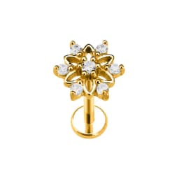 Heart Bird Flower Butterfly Labret Piercing Eye Shape Daith Conch Earring Teardrop CZ Lip Stud 316L Surgical Steel 16G
