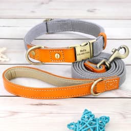 Nylon Custom Dog Puppy Collar Leash Set Personalized Genuine Leather Pet Nameplate ID Tag Accessories Collars Pet Products Perro