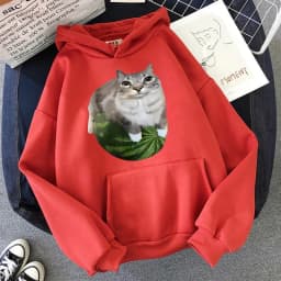 Cute Watermelon Cat Silly Cat Meme Printed Hoodies 90s Casual Sweatshirts Graphic Y2k Hooded Women's Gothic Streetwear Clothes