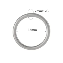 1PC Surgical Steel Nose Rings Septum Clicker Segment Hinged Ring Nose Ear Cartilage Tragus Helix Ear Lobe Body Piercing Jewelry