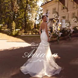 Customized Aviana Spaghetti Strap V-Neck Mermaid Wedding Dress Backless Tulle Appliques Embroidery Sweetheart Vestidos De Novia