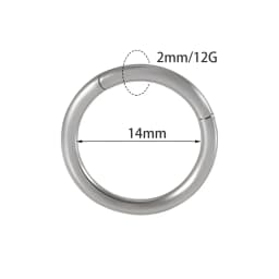1PC Surgical Steel Nose Rings Septum Clicker Segment Hinged Ring Nose Ear Cartilage Tragus Helix Ear Lobe Body Piercing Jewelry