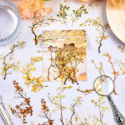 20/120 pcs Plants Flowers Leaf PET Sticker pack Scrapbooking Collage Junk Journal Planner Hand account Decor Stationery Stickers