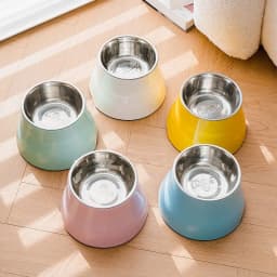 Macaron Color High Bowl Non Slip Cervical Spine Protection Stainless Steel Removable Pet Rice Bowl Water Bowl Pet Supplies