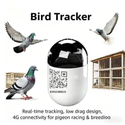 Pigeon GPS Locator for Outdoor Flying-- New Waterproof Mini Real Time Pigeon GPS Locator with 4G Network