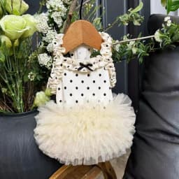 lightweight Thin Pet Dog Summer Dress Polka Dot Ruffle Sling Tulle Tutu Skirt Breathable Puppy Clothes For Daily Walking Wear