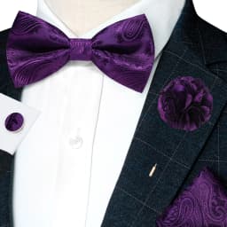 Classic Mens Bow Tie Brown Jacquard Paisley Bowtie Hanky Cufflinks Brooch Set Wedding party Butterfly Knot Gift Man Accessories