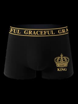 4 Piece Men's Underwear Soft Breathable Comfortable Men's Boxer Briefs High-end Black Casual Sports High Quality Men's Pants
