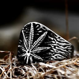BEIER vintage leaf stainless steel signet maple design ring fashion unique Goros Takahashi Feather Jewelry BR8-379