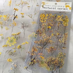 6 pcs/pack PET Plants Flowers Stickers DIY Scrapbooking Planner Decoration Collage Diary Supplies Aesthetics Stationery Sticker