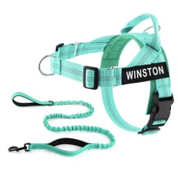 Custom Name No Pull Dog Harness Elastic Buffer Leash Set Adjustable Reflective Nylon Walking Lead for Small Medium Large Dogs