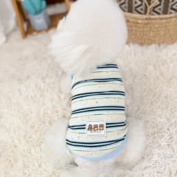 Thin Cooling Dog Dress Striped Dog Clothes Summer Puppy Skirts Girls Dog Costume Chihuahua Clothing Bichon Dog Supplies 2026 New