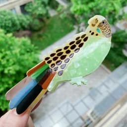 Novelty Bird & Hedgehog Acetate Hair Claw Clips, Whimsical Hummingbird Parrot Shark Clips for Women Girls
