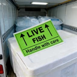 250 pcs Live Fish Stickers Shipping Labels, 2 X 3 Inch Fluorescent Green Please Handle with Care Stickers