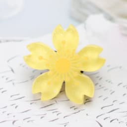 Cute Flowers Fruit Shoe Laces Decorations Buckle Charms Shoelaces for Sneaker Luxury Shoes Accessories for Women Man 1 Pcs