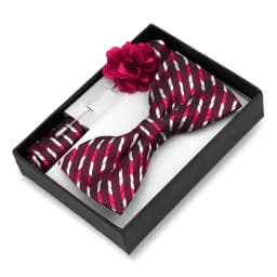 Classic High Quality Bow Tie Set Box Gift For Men Fashion Elegant Bowtie Handchief And Brooch Set Wedding Business Accessories