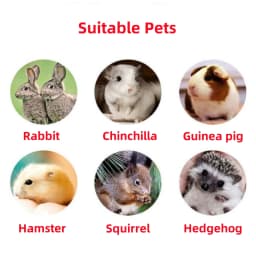 Small Pet Colored Calcium Grinding Stone Pet Hamster Chinchilla Squirrel Rabbit Parrot Guinea Pig Cube Block Pets Supplies 3Pcs