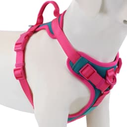 New Chocolate Color Luxury Dog Harness No Pull for Large Small Dogs Adjustable Chest Strap Dog Harness Personalized
