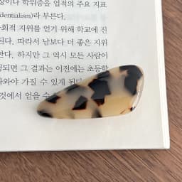 Korean FRANCE triangular duckbill clip French side bangs clip hair accessory