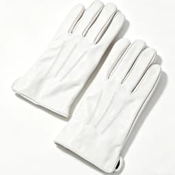 Men's Genuine Leather Real Leather Winter Warm White Ceremonial Short Gloves