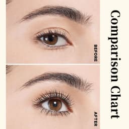 DIY 5ml Fast Drying Strong False Eye Lash Extension Glue Adhesive Retention 7-14 Days Low Smell Mink Eyelash Glue at Home