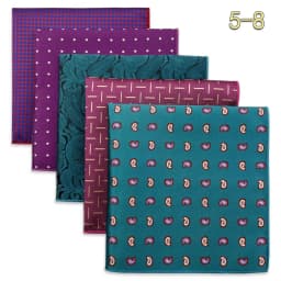 5 PCS Mens Pocket Square Set Assorted Handkerchief Multi Styles Paisley Floral Suit Large 32cm Hanky Business Accessories
