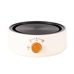 Electric Tea Stove Multifunctional Mini Anti Dry Burning Fast Heating Electric Hot Plate for Office Home CN Plug 220V