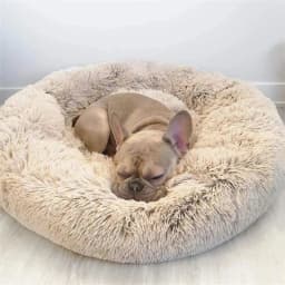 Round Large Dog Bed Winter Warm Plush Dog Bed for Medium Dog House Sleeping Dog Kennel Removable Small Cat Sofa Accessories