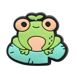 Funny Frog Shoe Charms for Crocs Accessories Men Clogs Pins Women Badge Boy Girl Jeans Kids Decorations Buckle Shoes Accessories
