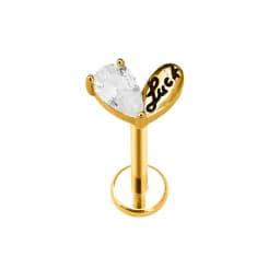 Heart Bird Flower Butterfly Labret Piercing Eye Shape Daith Conch Earring Teardrop CZ Lip Stud 316L Surgical Steel 16G
