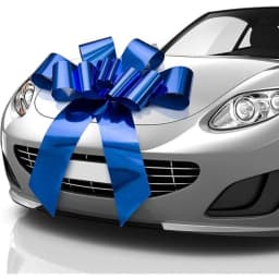 Big Car Bow 30Inch Giant Car Bow for Birthday Christmas Wedding Reception Surprise Party Large Gift Wrapping Bows Huge Present