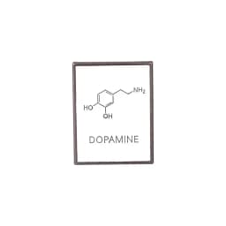 Science Chemistry Beaker Element Brooch Enamel Pin Molecular DNA Structure Equation Brooch Lapel Badge Cartoon Jewelry Accessory