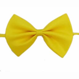 Butterfly Children Bowknot Bowtie Bow Tie school Cute Kids Accessories Girls Boys Baby Lovely Christmas Hot HB20