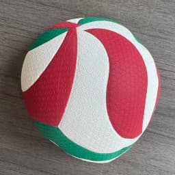 Model5000/4500 Volleyball Ball Size 5 New Year's Gift for Outdoor Sports Training with Optional Pump Needle