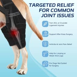 Dog Knee Brace for Torn ACL Hind Leg, Puppy Leg Brace Helps Reduce Pain from Torn CCL, Luxating Patella, Ligament, Hip Dysplasia