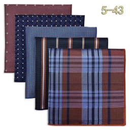 5 PCS Mens Pocket Square Set Assorted Handkerchief Multi Styles Paisley Floral Suit Large 32cm Hanky Business Accessories