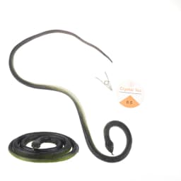 Snake Prank with String Clip - Snake On A String Prank That Chase People Toy Funny Spoof Gift Outdoor