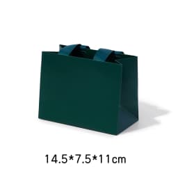Oirlv 10Pcs Green Gift Bags Ribbon Handle Customizable Jewelry Shopping Bag Reusable Gift Packaging Bags Paper Gift Bags Packing
