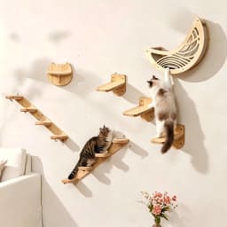 Wall Mounted Cat Shelves Set Moon Shape Hammock Star Perches Climbing Steps Cat Furniture For Kitten Cats Indoor Rest Playing Sleeping