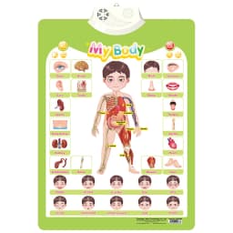 Sports Wall Chart Talking Poster Interactive Toddler Alphabet Learning Best Educational Gift for Boys Girls Ages Letter Sounds