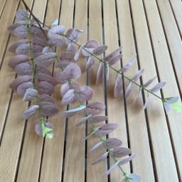 10Pc 3D Printing Eucalyptus Leaves Artificial Plants Wedding Road Leads Flower Arrangement Home Decoration Party Eucalyptus Leaf