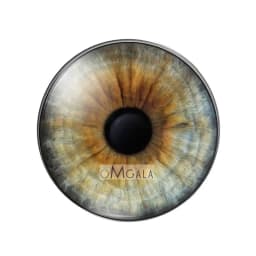 glass eyes cabochons Round 8MM-30MM Round Dome Dragon Eye Dragon Cat Eye Toys DIY Jewelry Accessory MIX Pupil Eye Cameo