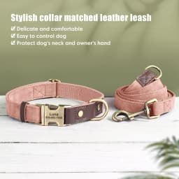 Personalized Dog Collar Leash PU Leather Dog Collars With Walking Lead Rope Free Custom Pet ID Necklace for Small Large Dogs Pug