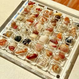 Clear Acrylic Magnetic Display Case 36-Grid Transparent Organizer for Seashells Starfish Jewelry Trinkets Jewelry Making Display