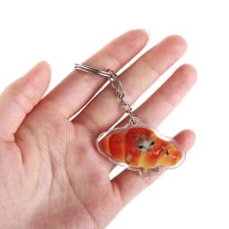Banana Cat Happy Banana Cat Keychain Backpack Charm Pendant Banana Cat Mobile Phone Chain Cartoon Keyrings Banana Cat Pendant